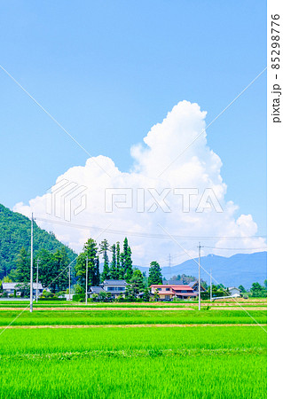 夏の田舎風景 夏の田舎風景 85298776