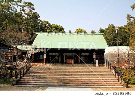 廣田神社拝殿と桜 85298996