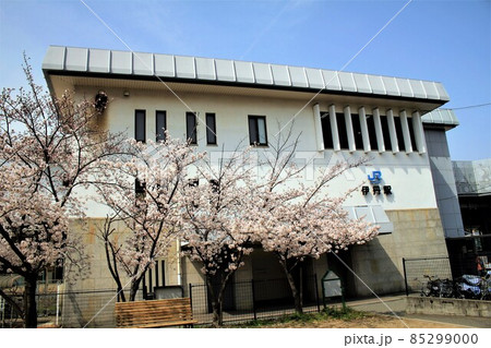 JR伊丹駅と桜 85299000