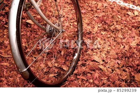 紅葉と自転車 85299239