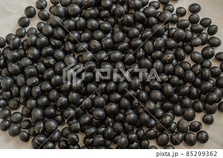 黒豆 85299362