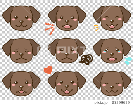 拉布拉多犬（巧克力）面部表情臉圖標 85299659