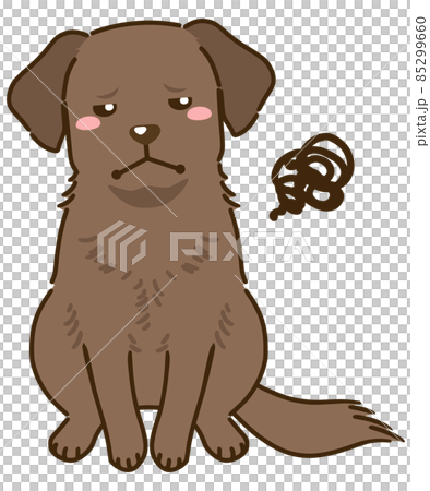 不滿意的拉布拉多獵犬(巧克力) 不滿意的拉布拉多獵犬(巧克力) 85299660