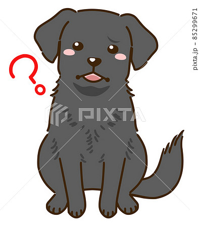 疑問に思うラブラドールレトリバー ブラック のイラスト素材
