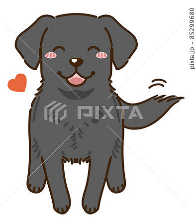 なつくラブラドールレトリバー（ブラック） 85299680