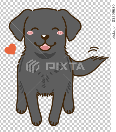 なつくラブラドールレトリバー（ブラック） 85299680