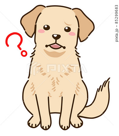疑問に思うラブラドールレトリバー イエロー のイラスト素材