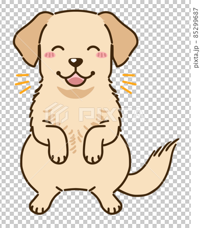 喜ぶラブラドールレトリバー イエロー のイラスト素材