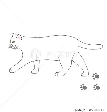 歩く白猫のリアルタッチなイラストのイラスト素材