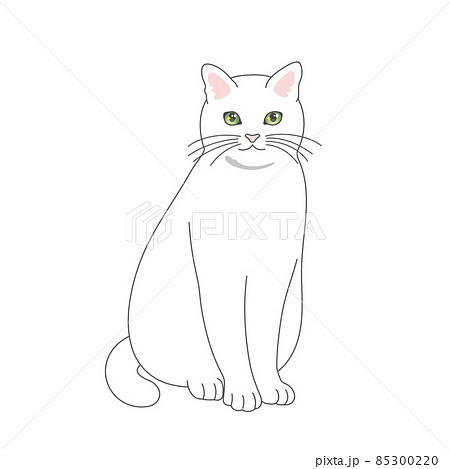 座る白猫のリアルタッチなイラストのイラスト素材