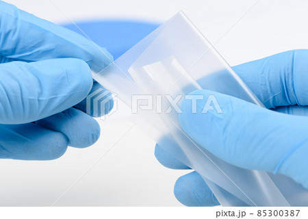 Scientist show and bend flexible transparent thin film material in laboratory 85300387