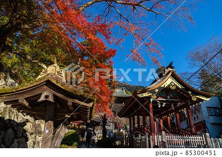 筑波山神社 神橋 御座替祭は毎年11月1日と4月1日に歩いて渡ることができる 筑波山神社 神橋 御座替祭は毎年11月1日と4月1日に歩いて渡ることができる 85300451