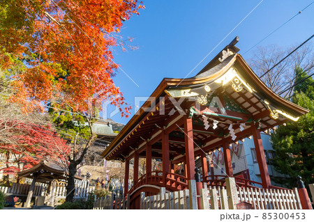 筑波山神社　神橋　御座替祭は毎年11月1日と4月1日に歩いて渡ることができる 85300453