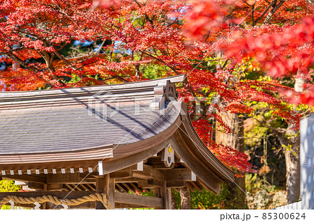 筑波山神社　紅葉　秋 85300624