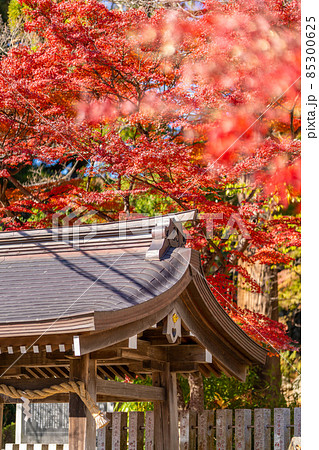 筑波山神社　紅葉　秋 85300625