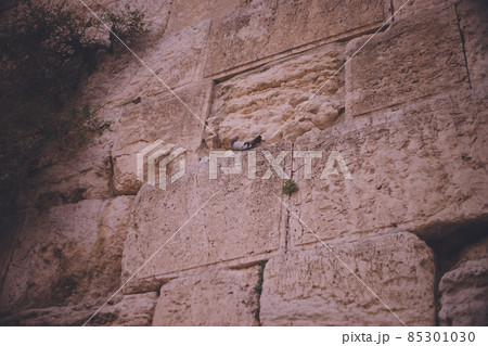 イスラエルのユダヤ教聖地 嘆きの壁 ヘロデ大王時代のエルサレム神殿の外壁 85301030