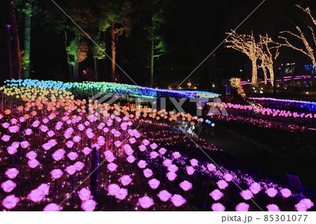 はなぶんサンクスイルミ はなぶんサンクスイルミ 85301077