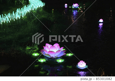 はなぶんサンクスイルミ 85301082