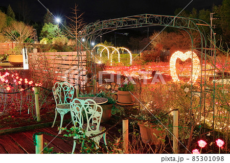 はなぶんサンクスイルミ はなぶんサンクスイルミ 85301098