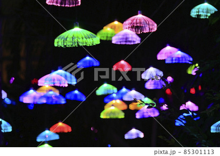 はなぶんサンクスイルミ 85301113