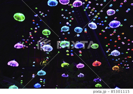 はなぶんサンクスイルミ 85301115