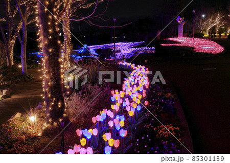 はなぶんサンクスイルミ 85301139