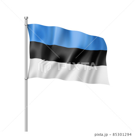 Estonian flag isolated on white 85301294