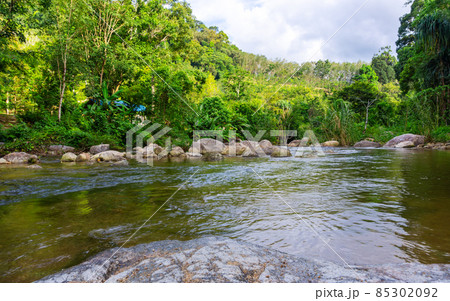 River in forest and river stone with tree and sunlight in nature River in forest and river stone with tree and sunlight in nature 85302092
