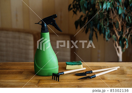 Spring Houseplant Care, Waking Up Indoor Plants for Spring. Garden tools to care houseplants at home. Garden room, Biophilia trend, Living with Nature 85302136