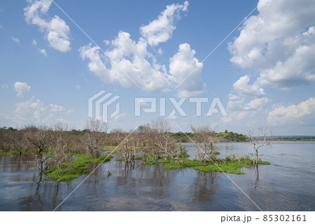 Murchison Falls National Park, Uganda 85302161