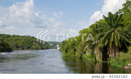 Murchison Falls National Park, Uganda 85302162