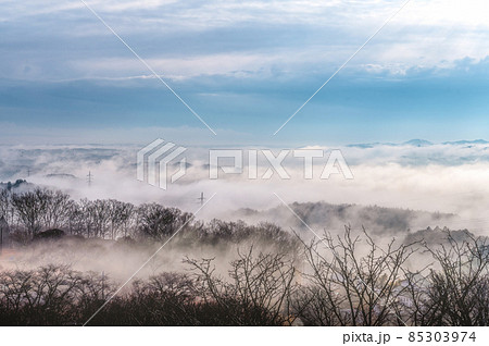 茨城県常陸大宮市 三王山自然公園 雲海が立ち込める冬の朝 茨城県常陸大宮市 三王山自然公園 雲海が立ち込める冬の朝 85303974