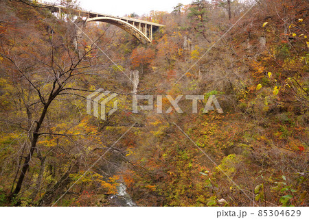 鳴子峡の紅葉 鳴子峡の紅葉 85304629