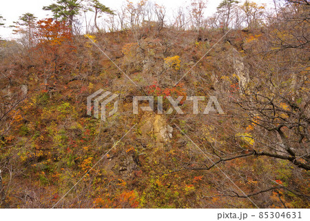 鳴子峡の紅葉 鳴子峡の紅葉 85304631