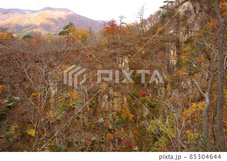 鳴子峡の紅葉 鳴子峡の紅葉 85304644