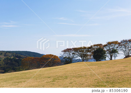 鹿児島県霧島の牧場 鹿児島県霧島の牧場 85306190