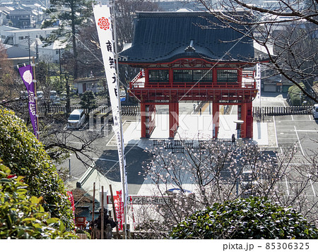 犬山成田山の明王門 85306325