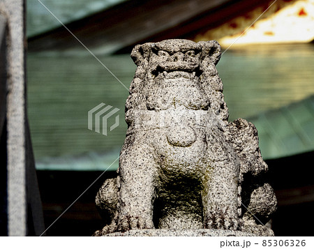 犬山成田山の狛獅子 85306326