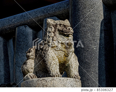 犬山成田山の狛獅子 85306327