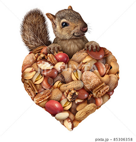 Love Of Nuts 85306358