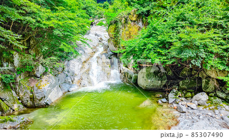 尾白川渓谷(夏) 尾白川渓谷(夏) 85307490