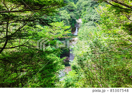 尾白川渓谷：神蛇滝（夏） 85307548