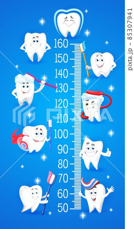Cartoon teeth characters with toothbrush. Kids height chart, growth meter. Vector wall sticker for children height measurement with funny healthy sparkling teeth cleaning with toothpaste and scale Cartoon teeth characters with toothbrush. Kids height chart, growth meter. Vector wall sticker for children height measurement with funny healthy sparkling teeth cleaning with toothpaste and scale 85307941