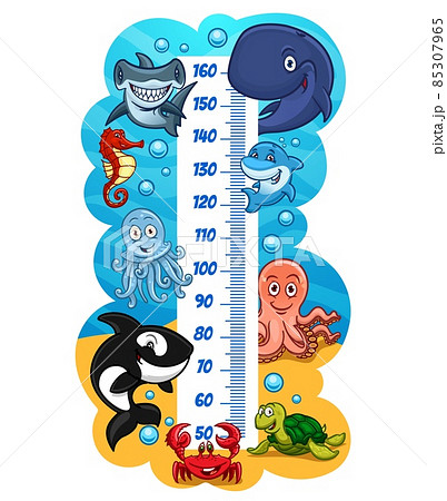 Kids height chart with funny cute sea animals. Vector growth meter ruler with measure scale and cartoon whale, octopus, crab and sea turtle, dolphin, killer whale, seahorse and jellyfish 85307965