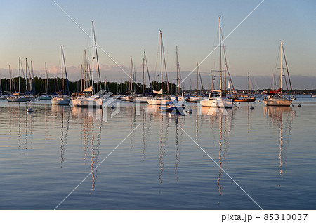 Moored sailboats off Coconut Grove in predawn light. Moored sailboats off Coconut Grove in predawn light. 85310037