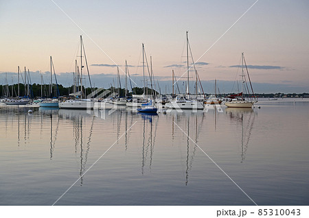 Moored sailboats off Coconut Grove in predawn light. 85310043