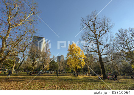 日比谷公園 家族連れで賑わう児童公園 東京都千代田区 日比谷公園 家族連れで賑わう児童公園 東京都千代田区 85310064