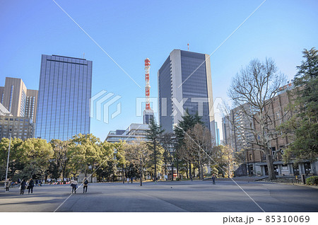 日比谷公園 日比谷公会堂前のにれの木広場とビル群  東京都千代田区 日比谷公園 日比谷公会堂前のにれの木広場とビル群  東京都千代田区 85310069