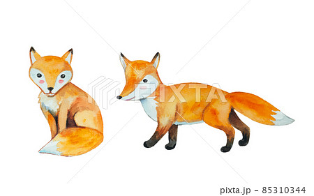Cute cartoon watercolor painted foxes isolated on white background.  85310344