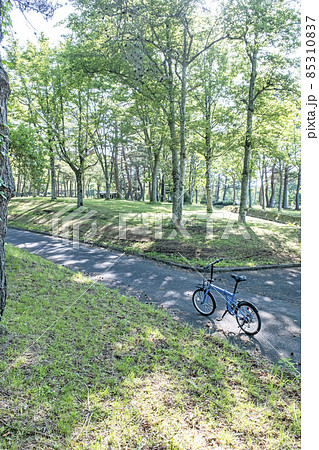新緑のサイクリングコース(蒜山高原) 新緑のサイクリングコース(蒜山高原) 85310837